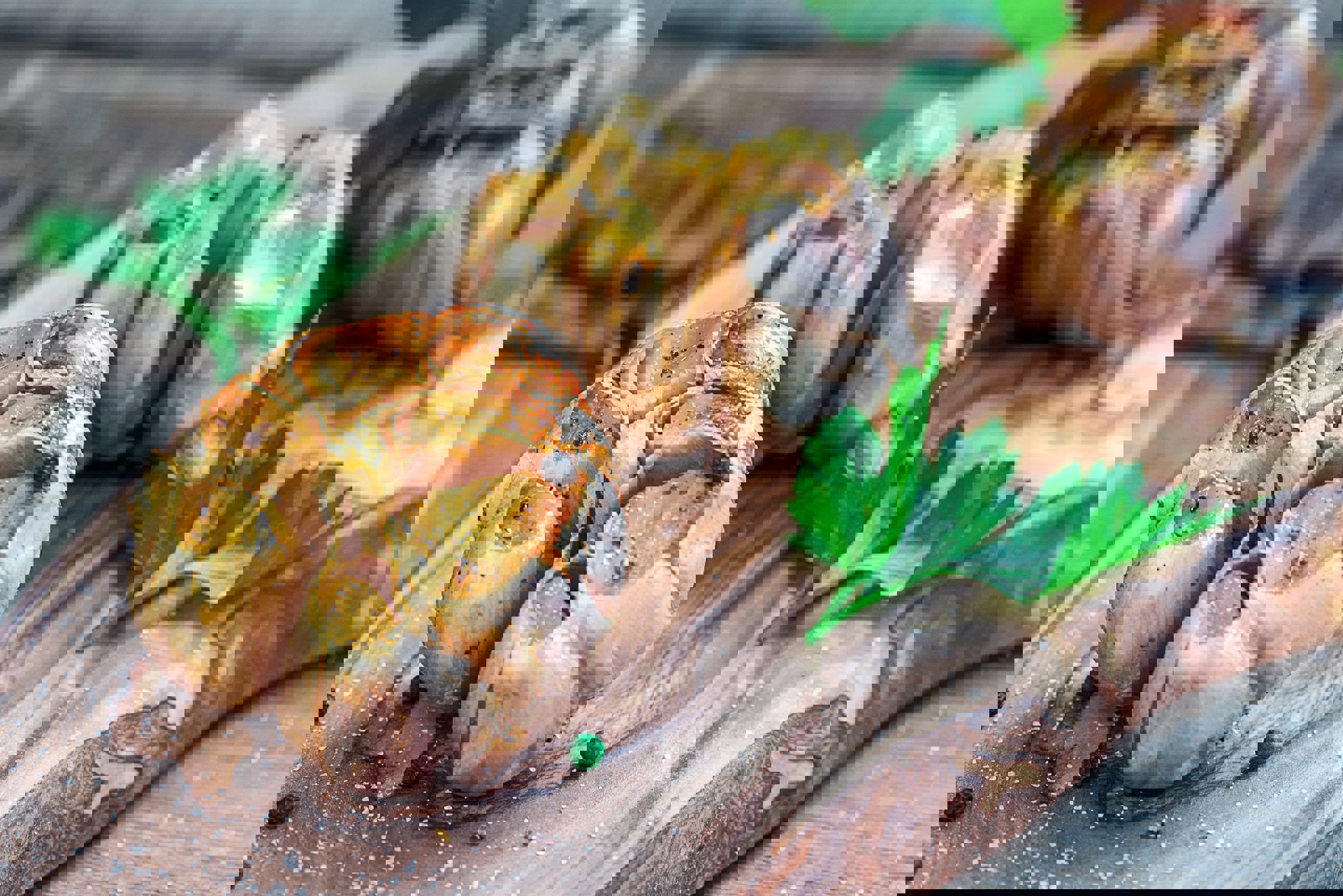 b8c5c74e-95dd-4b5f-9e94-9d999fe0acbe