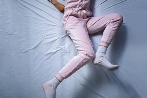 legs 