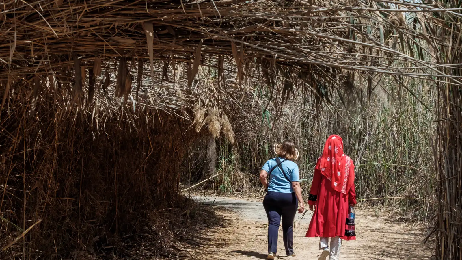 أفضل أنشطة محمية الوثبة ومشاهدة طيور الفلامنجو