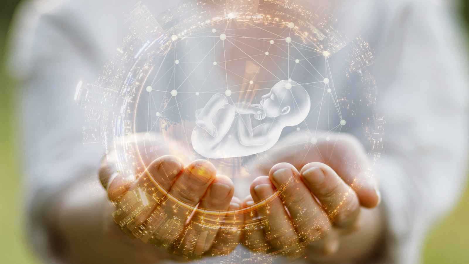 هل تؤثر الأطعمة المجمدة والمعلبة على الخصوبة؟ 