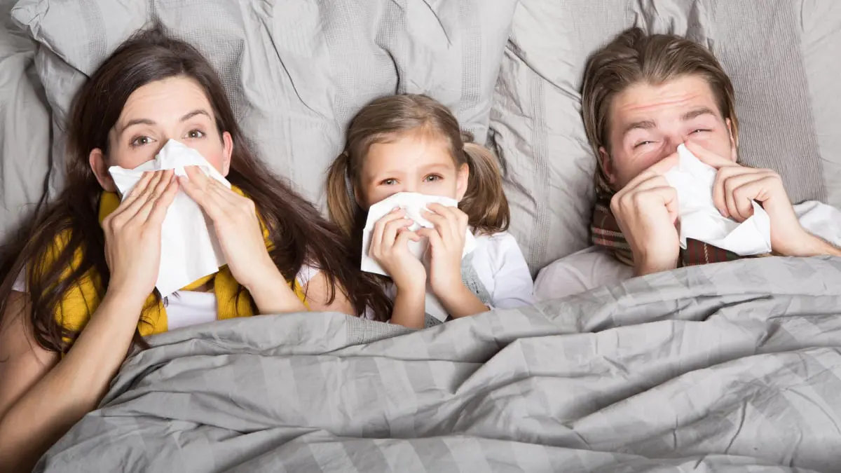العلماء يتوصلون لمعرفة أسباب ارتباط الإنفلونزا ونزلات البرد بفصل الشتاء