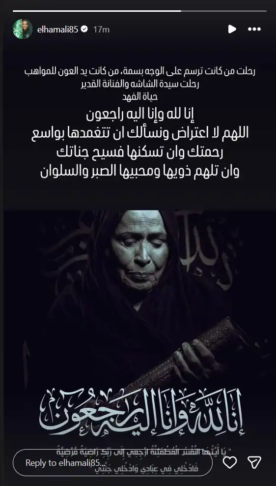 ستوري إلهام علي