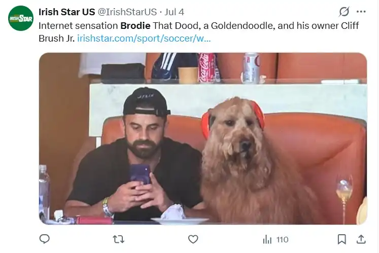 من هو الكلب برويدي الذي خطف الأضواء في كأس العالم؟