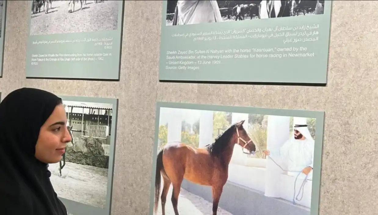 ركن الخيول في مهرجان الشيخ زايد