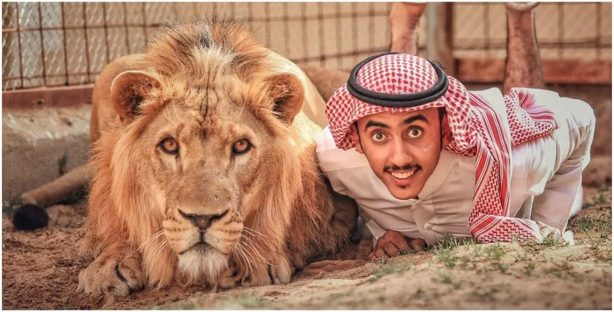 السعودي أسامة الدغيري يروض حيوانات مفترسة.. ومطالب بالتدخل 