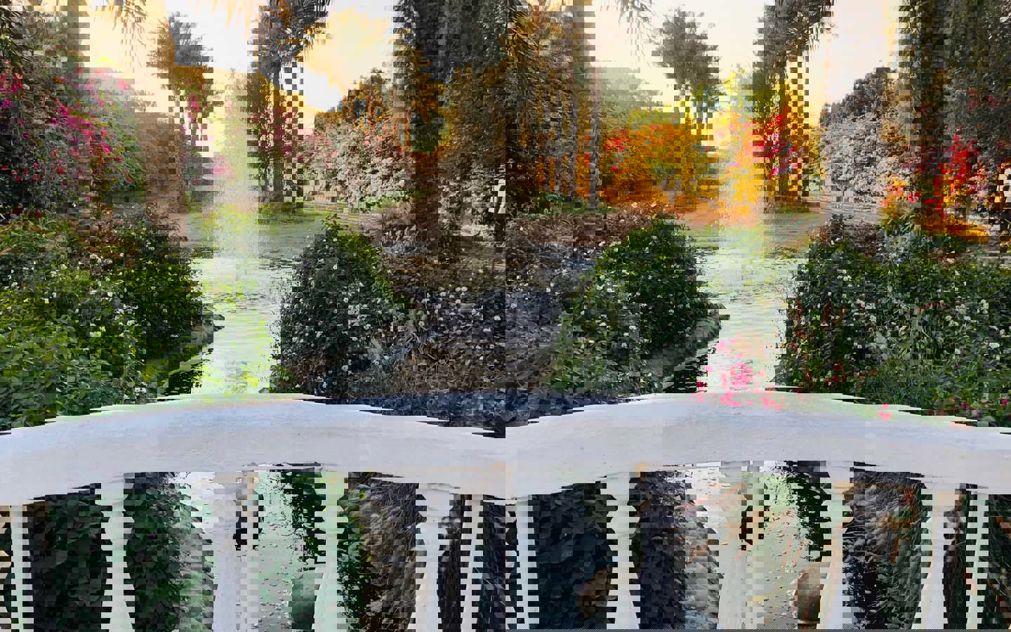 c4a67090-cd7a-4922-aea9-3e231dd64473