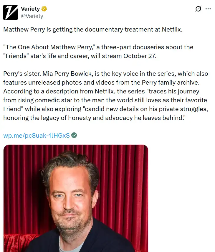 موعد عرض وثائقي The One About Matthew Perry على "نتفليكس"