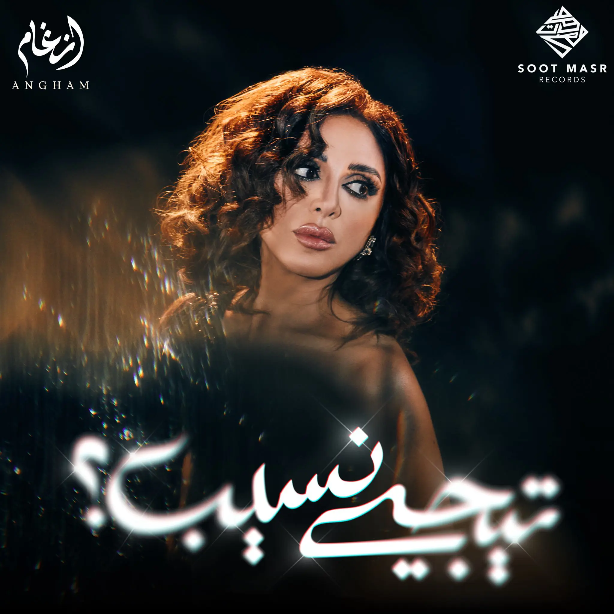 ألبوم أنغام تيجي نسيب