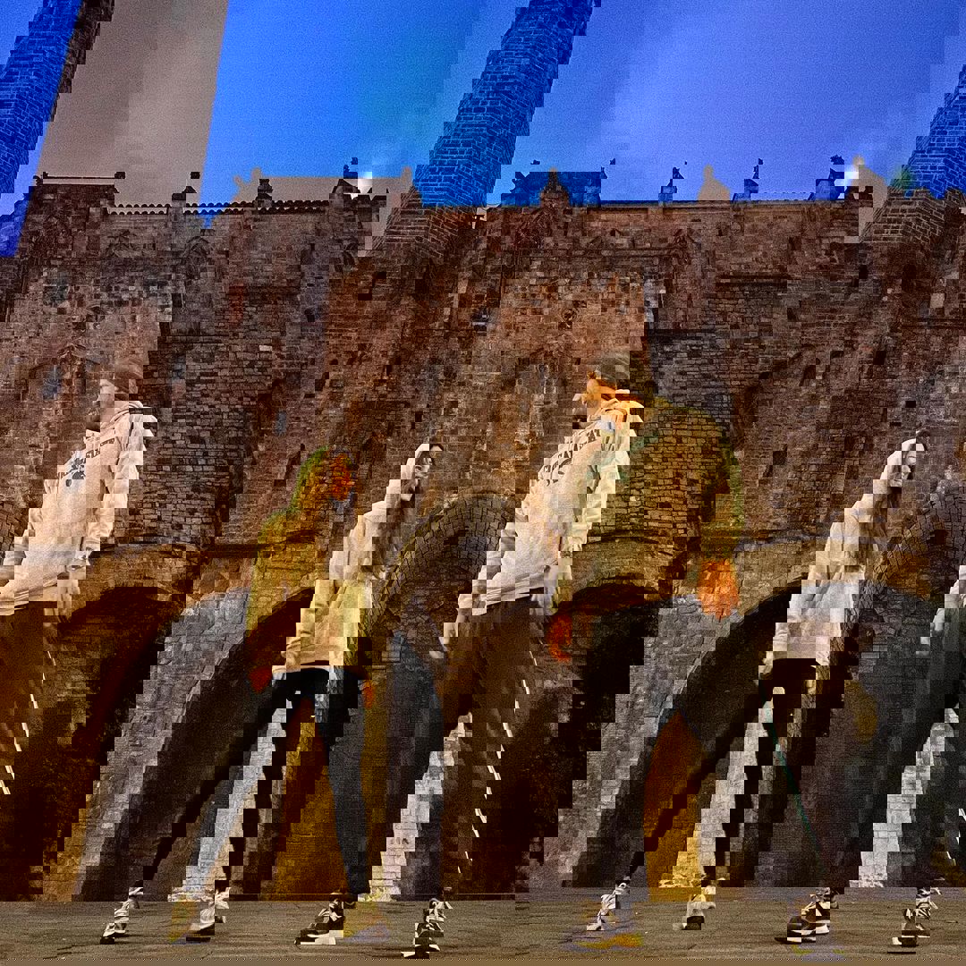 c9a67a53-ebb3-41d6-bbc1-30c0243e8998