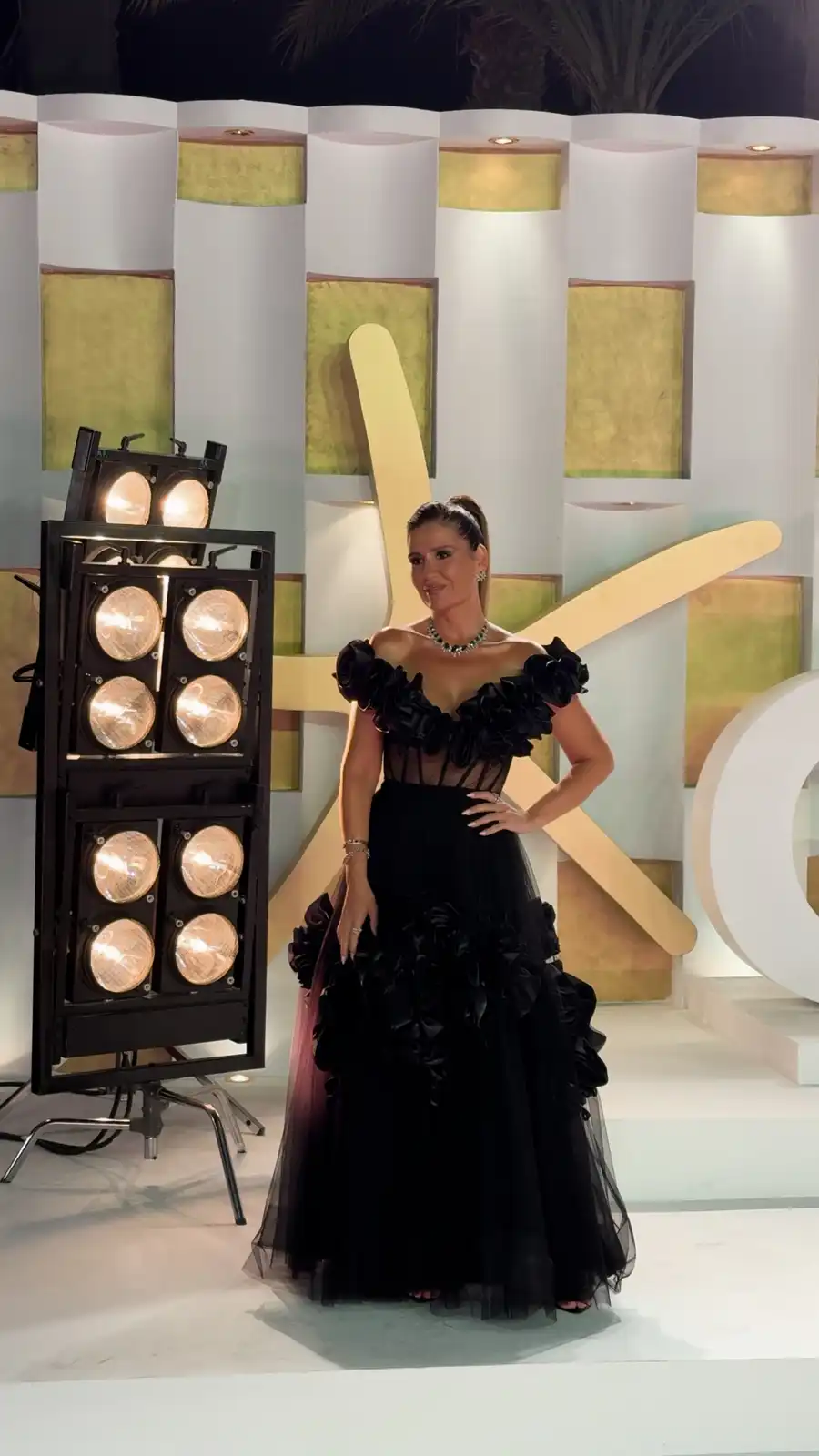 نجوم السادة الأفاضل يخطفون الأضواء في مهرجان الجونة 2025