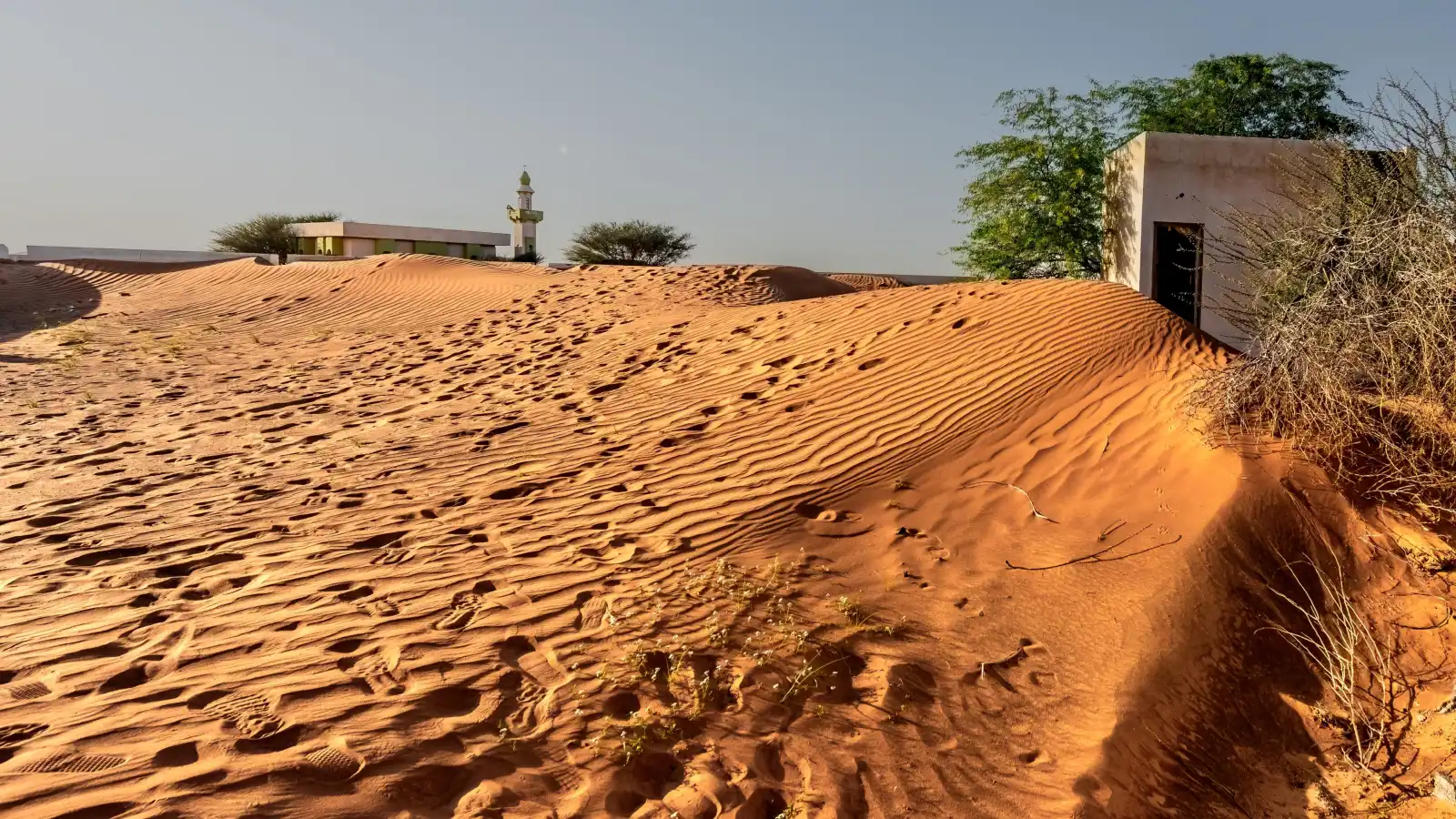 تعرف على القرية المدفونة بالرمال وجهة عشاق المغامرة بالشارقة