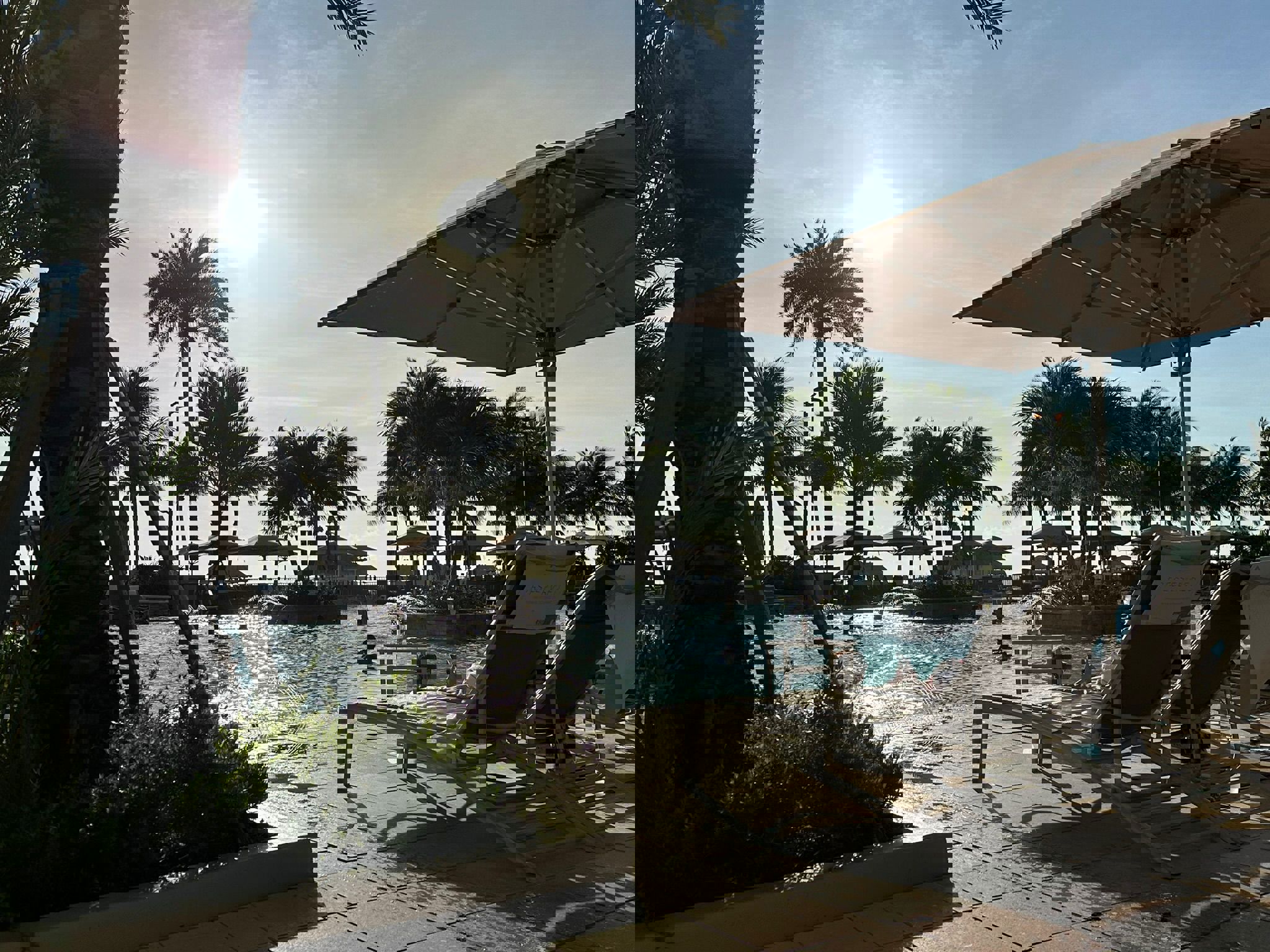 ce7dde4b-814f-46be-a751-716c39b42b47