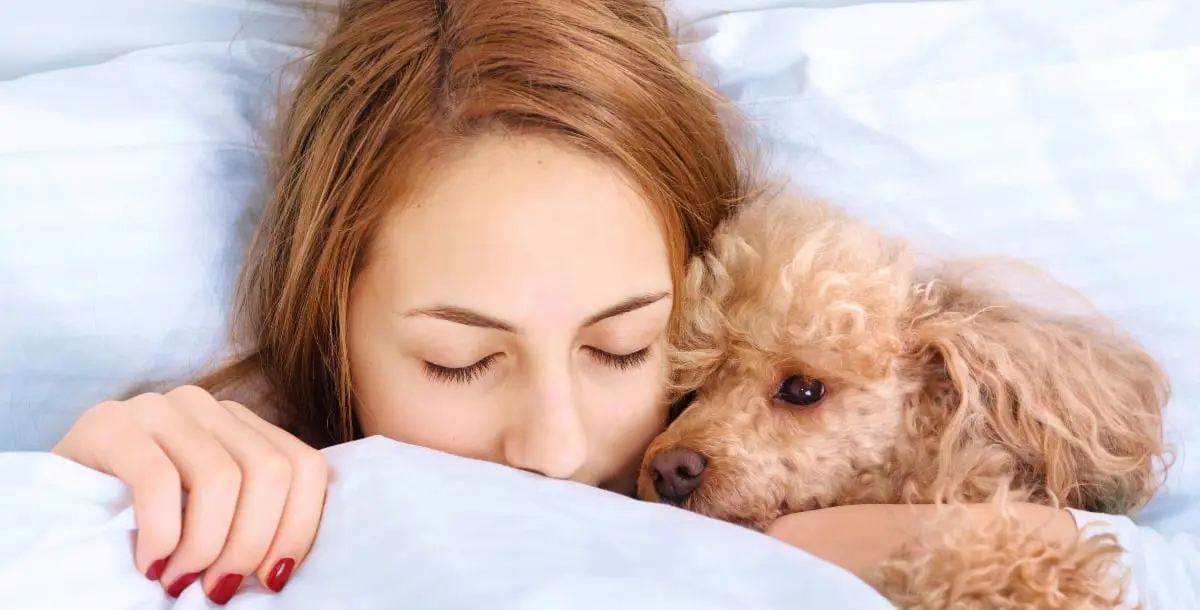 دراسة مُثيرة تؤكّد: الكلاب تحلّ لكِ مشاكل النّوم!