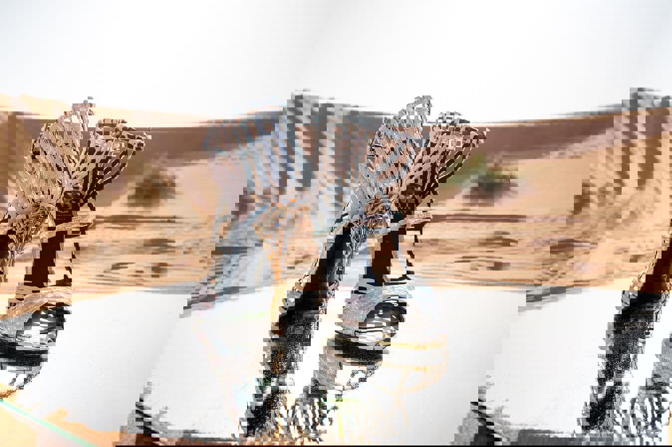 d343d868-2771-4d1d-9661-91c567d2b234