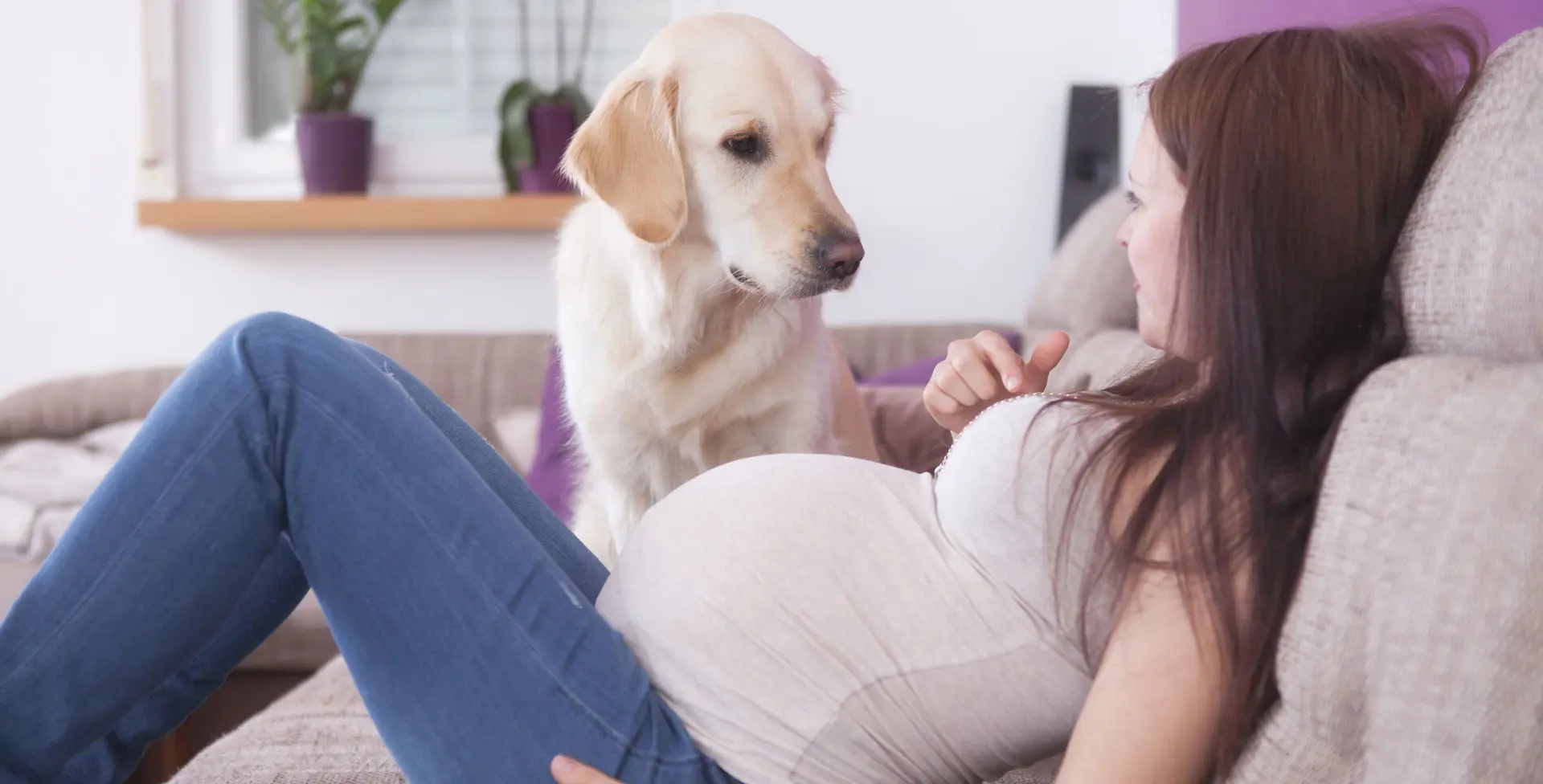 للمرأة الحامل.. نصائح عن الكلاب!