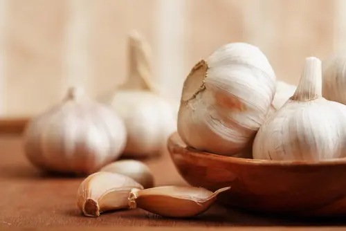 Garlic