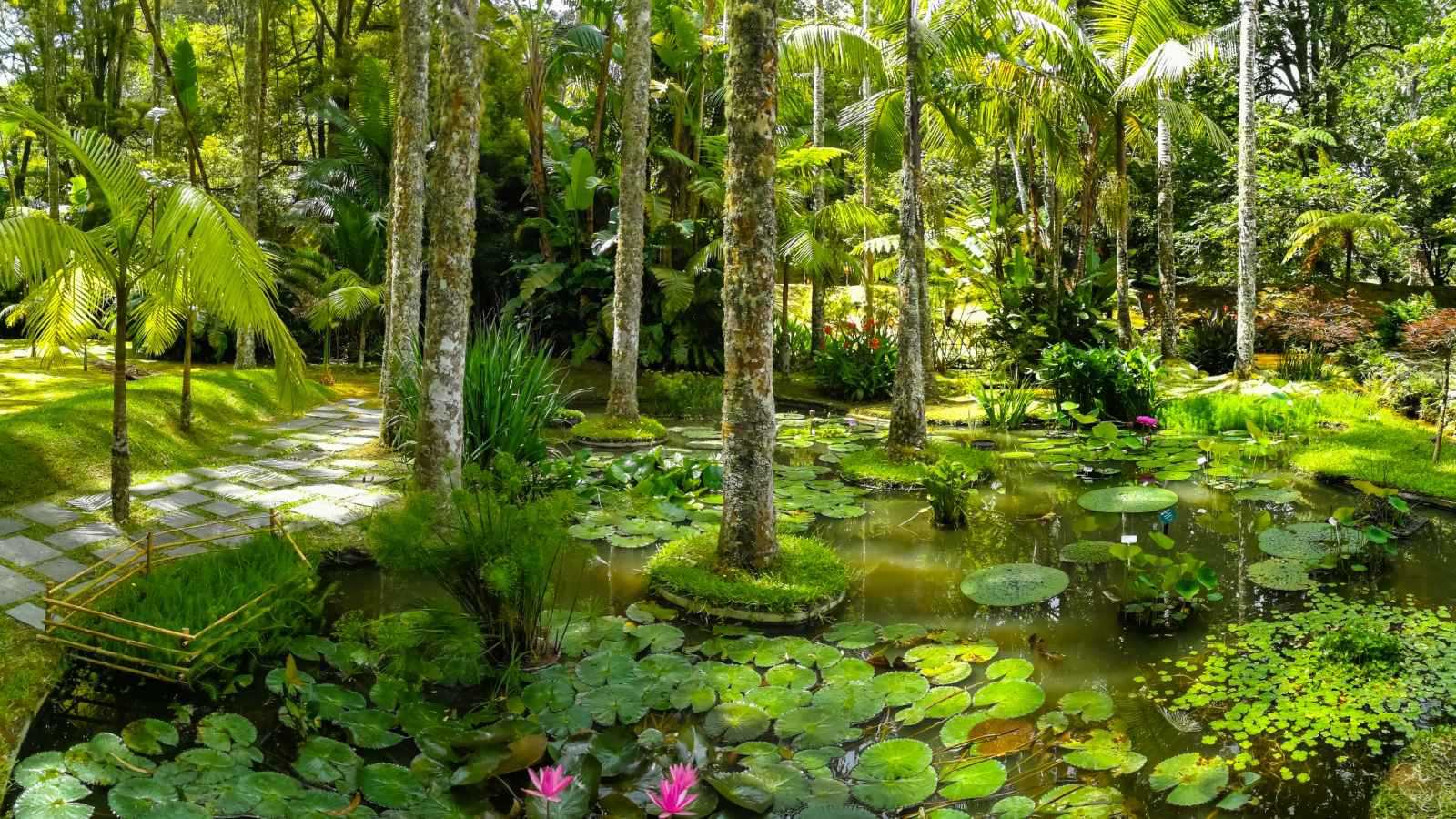 اكتشف سحر جزر الأزور وأجمل ما فيها