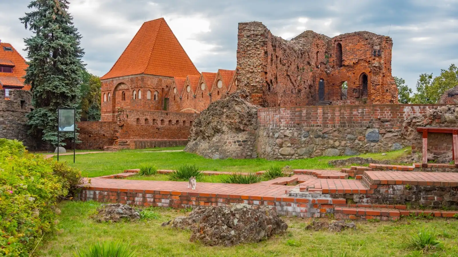 Torun في بولندا