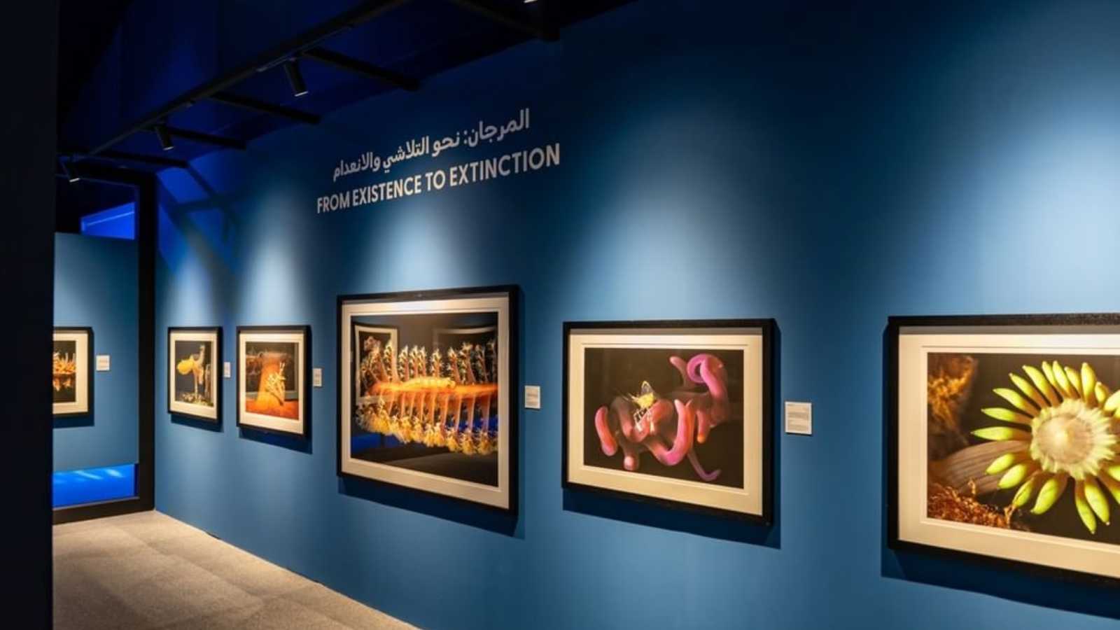 شهادات بصرية في "اكسبوجر 2026"