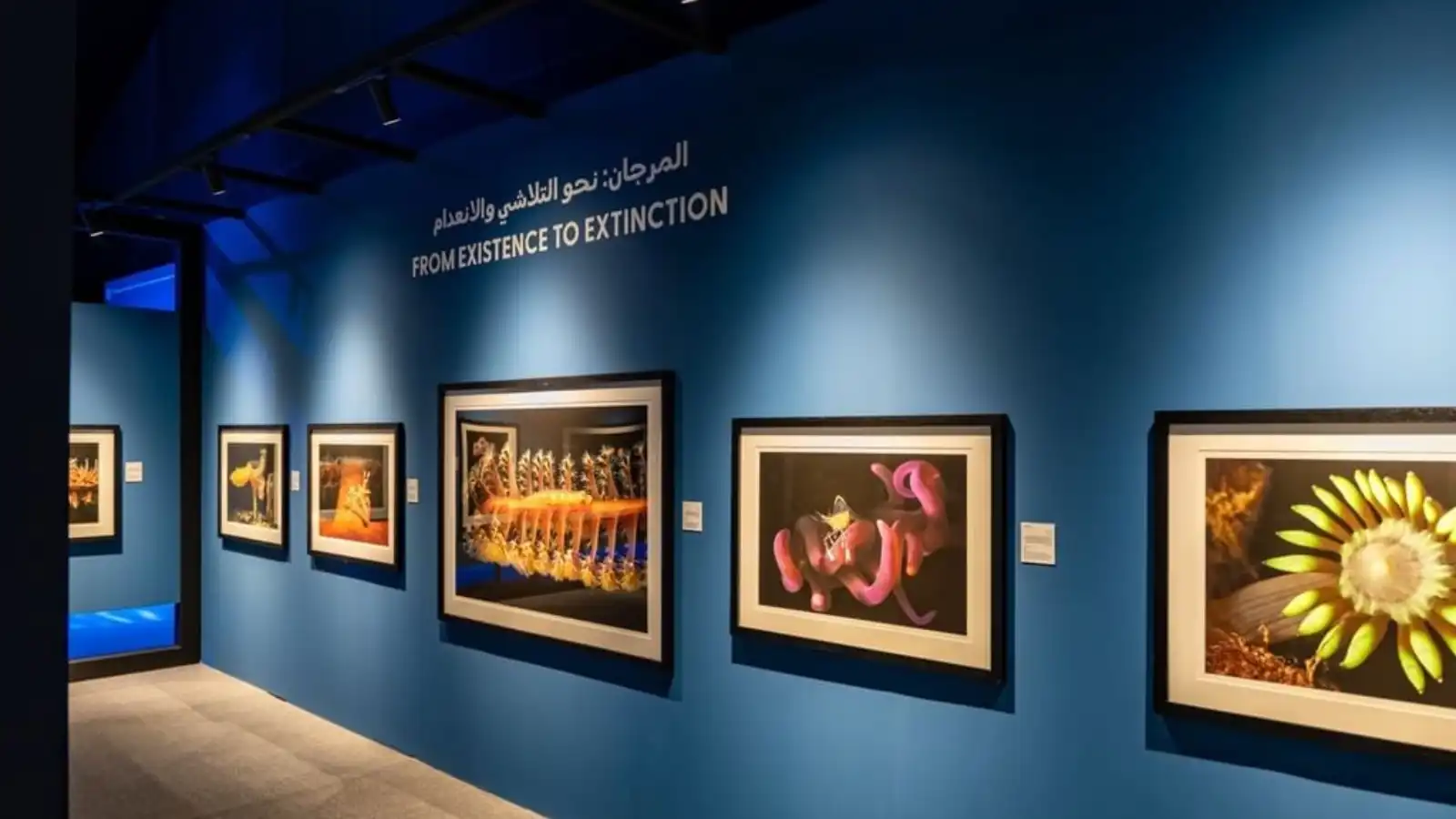 شهادات بصرية في "اكسبوجر 2026"