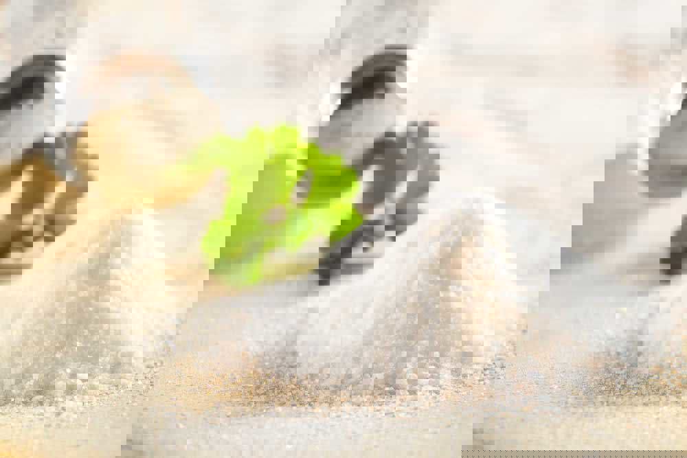d8e36c85-2b7f-4626-92e2-140808517639