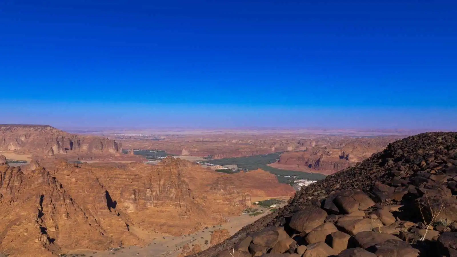واحة سعودية صنعت علامة تجارية قبل آلاف السنين