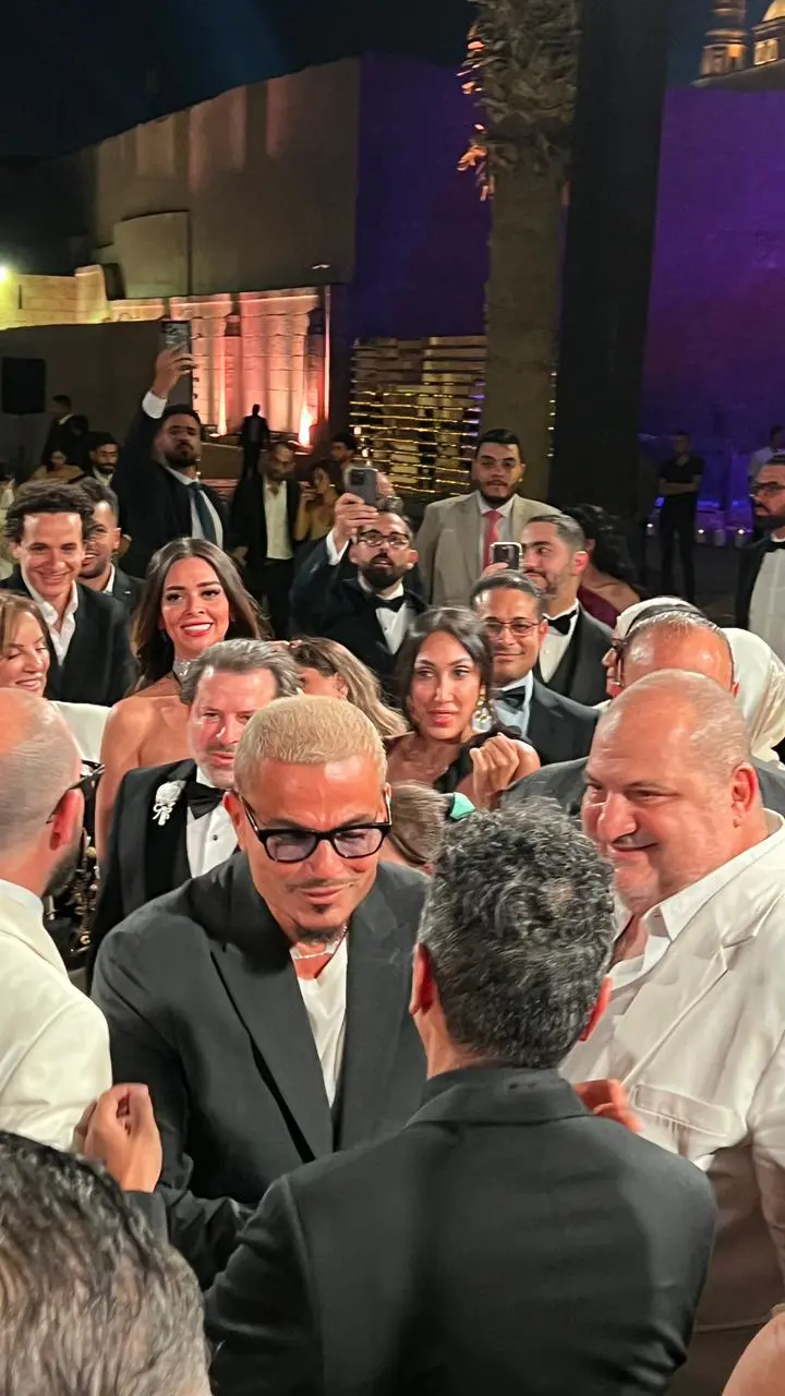 عمرو دياب في حفل زفاف جميلة عوض