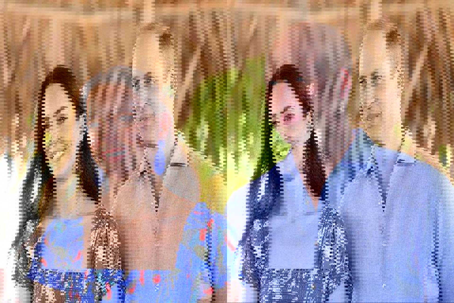 d9b0e495-2550-4c19-ba96-df88227e00d3
