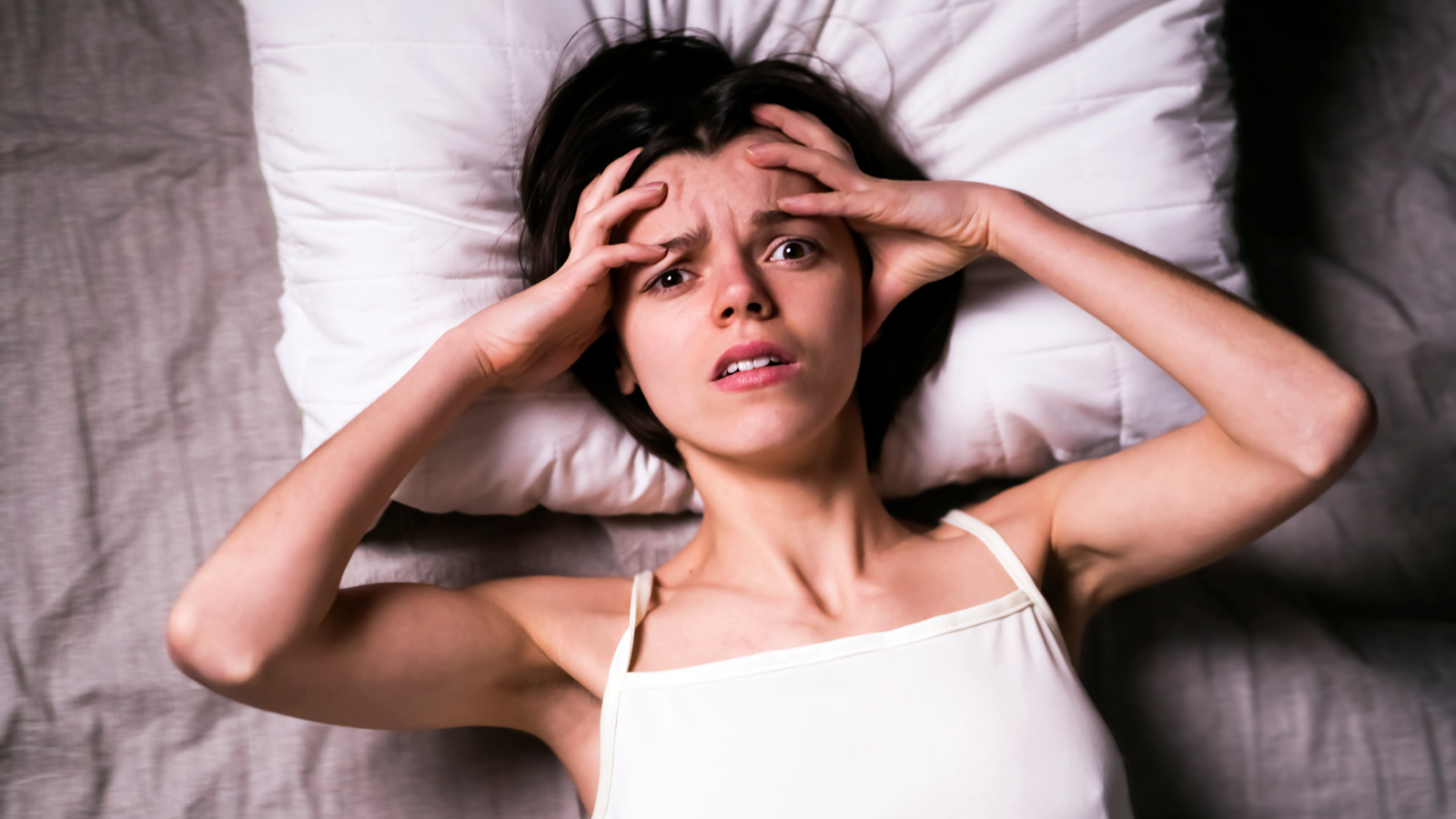 دلالات رؤية القطط في المنام
