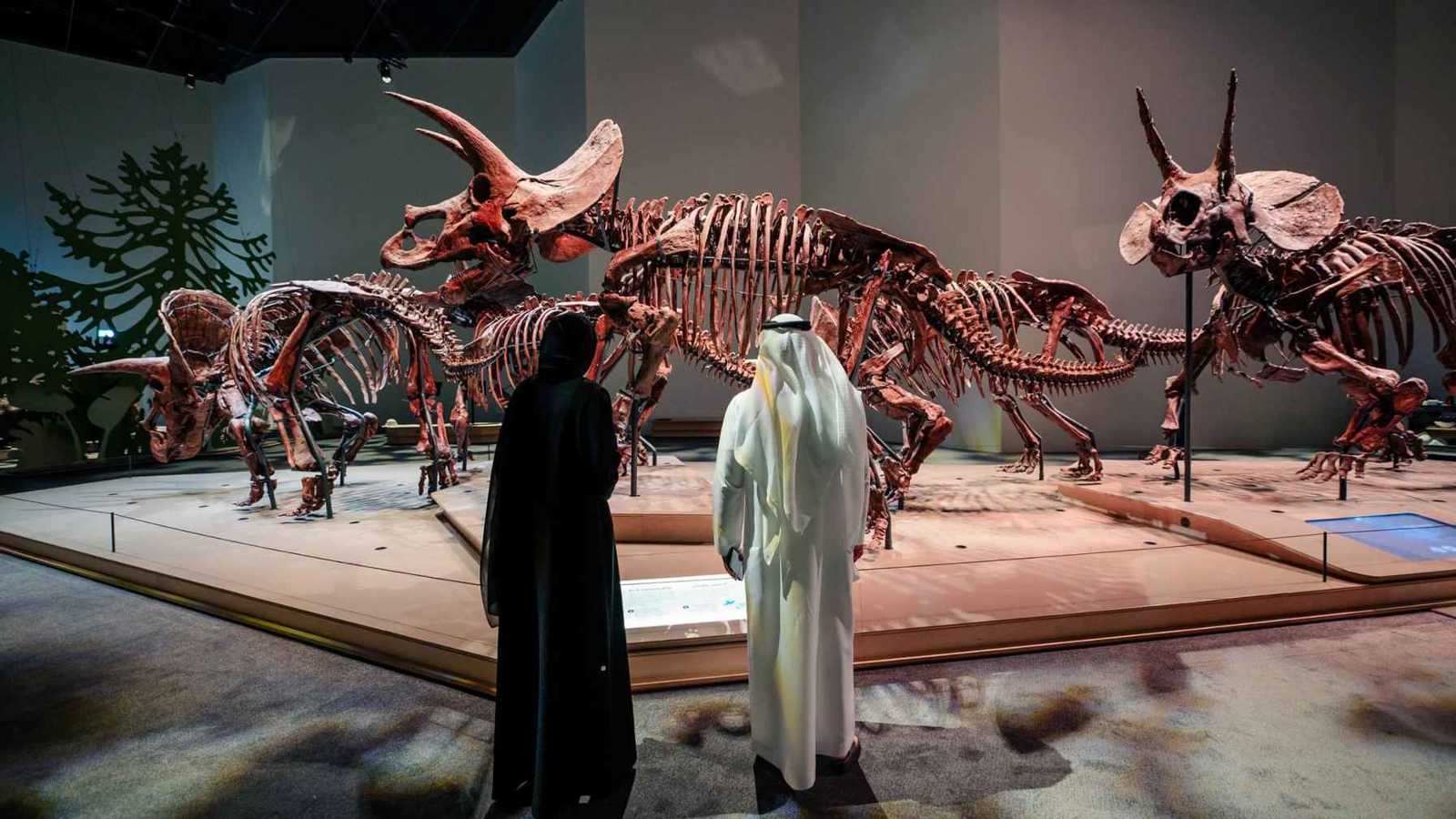 "متحف التاريخ الطبيعي أبوظبي" يروي حكاية الأرض بكل أسرارها