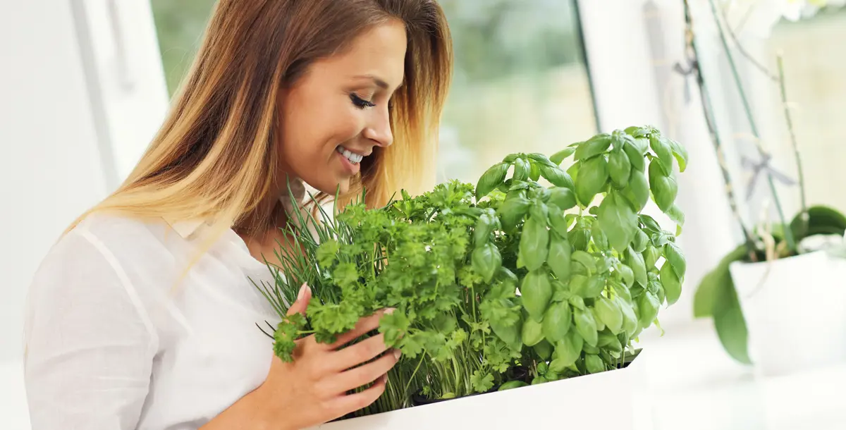 كيف تقدّم لنا الأعشاب الطبيعية فوائد صحية لأجسامنا؟