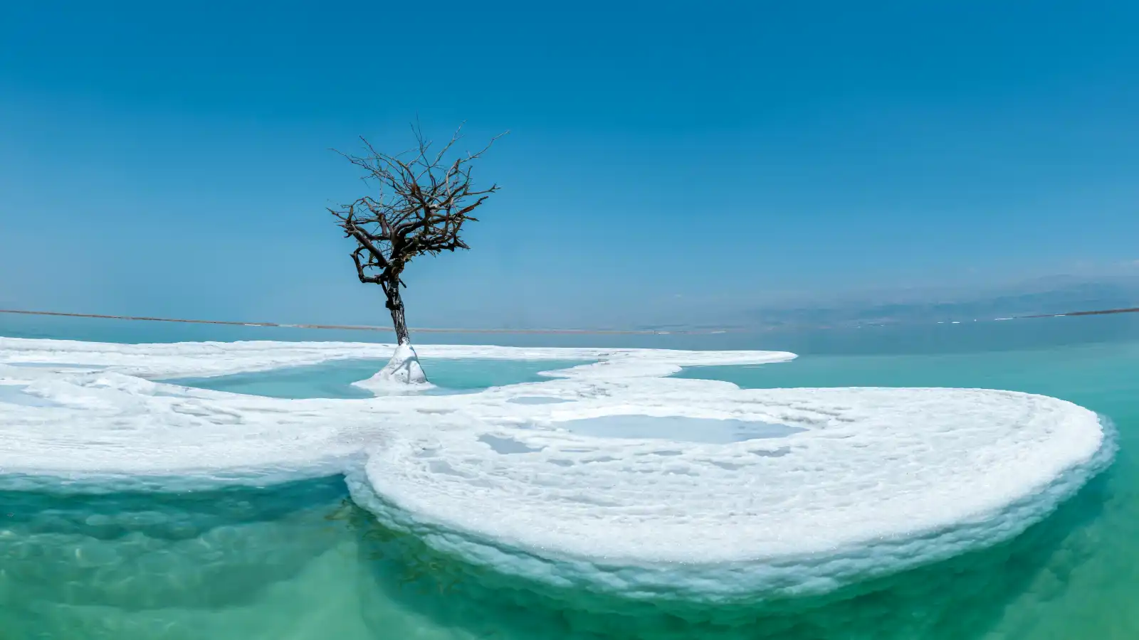 البحر الميت