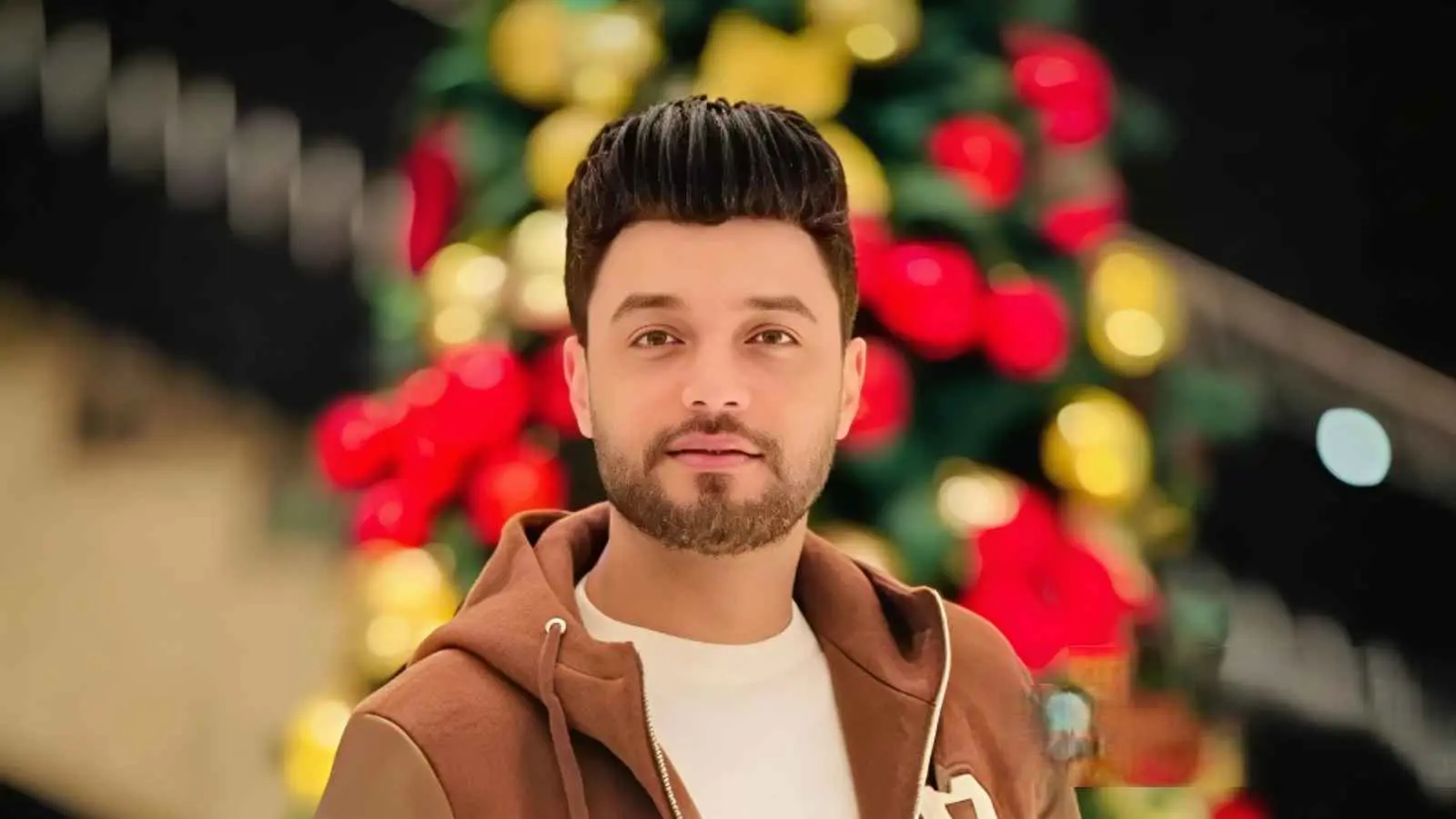 أحمد عامر