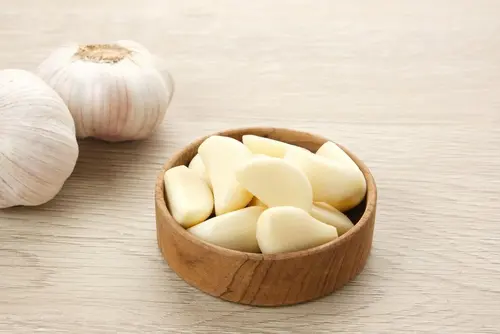 Garlic