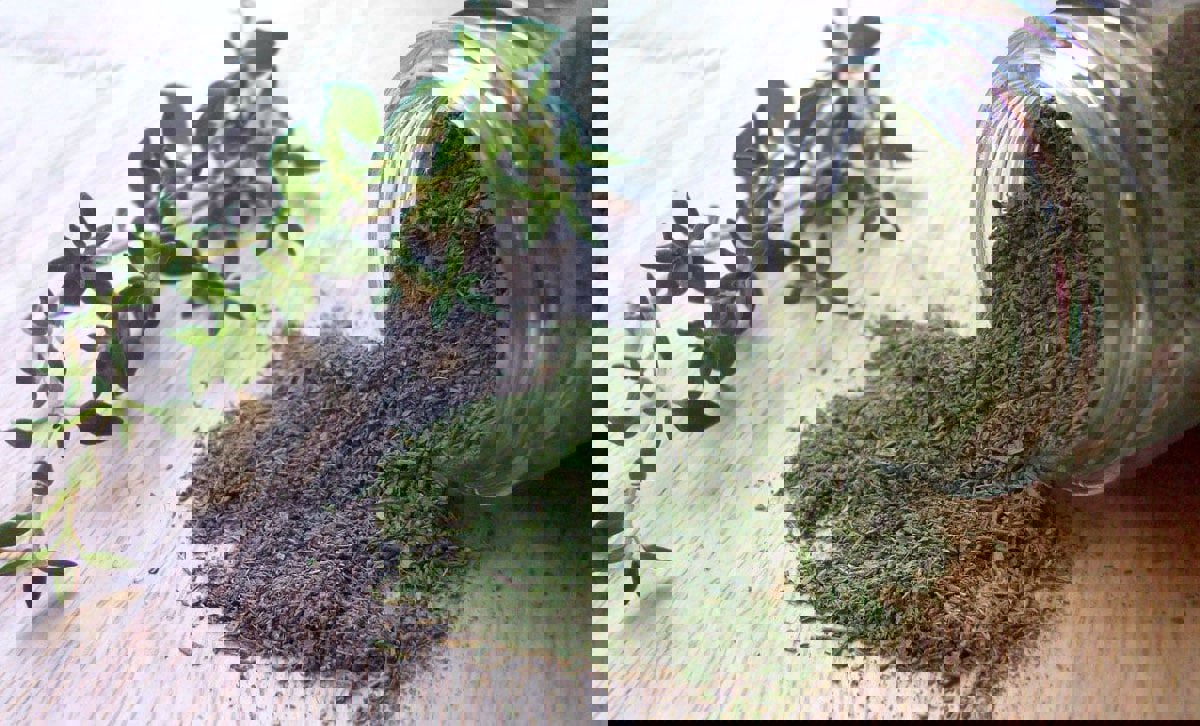 e1daa1df-cfc4-4265-a576-0ea20c4adc8b