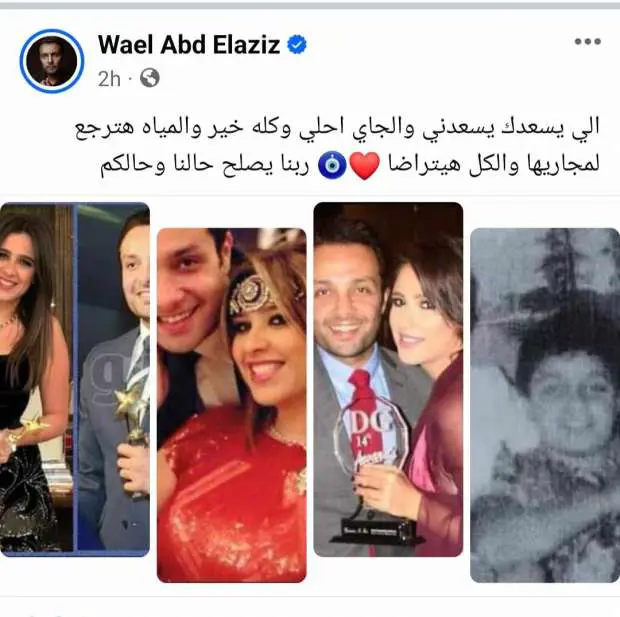 وائل عبد العزيز