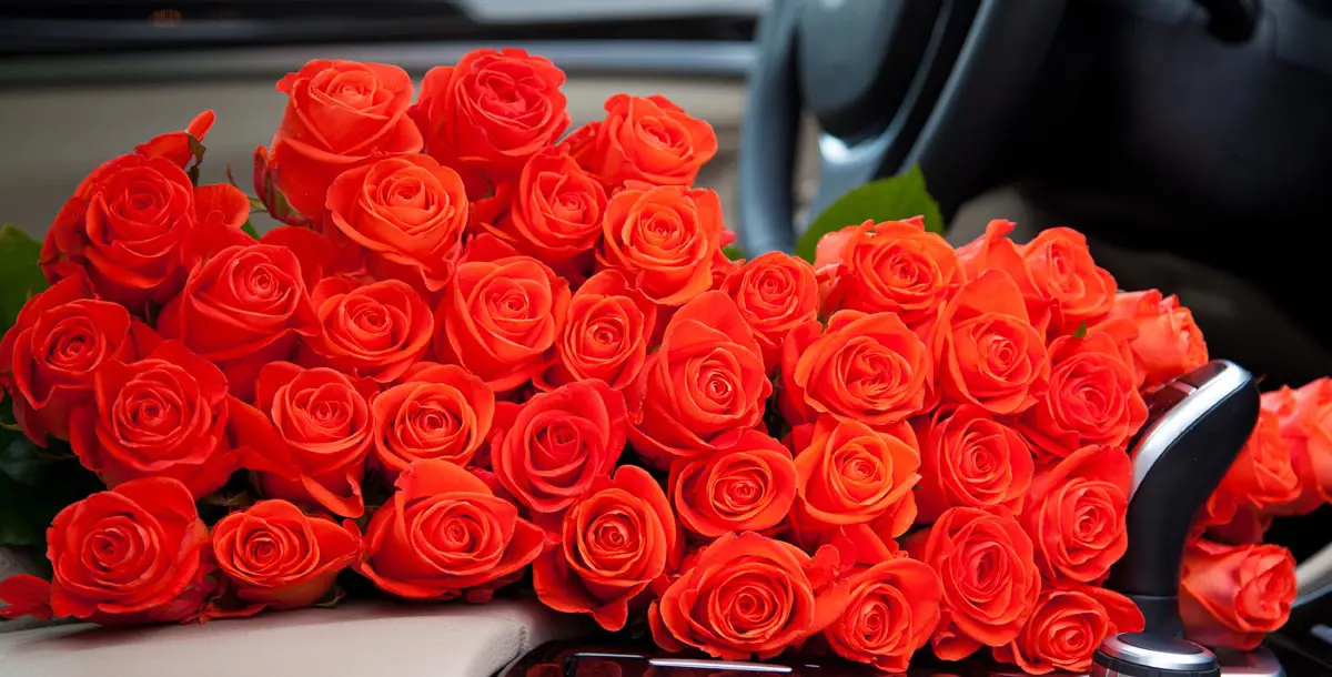 فخامة الحب ...وردة حمراء في سيارة رولز رويس