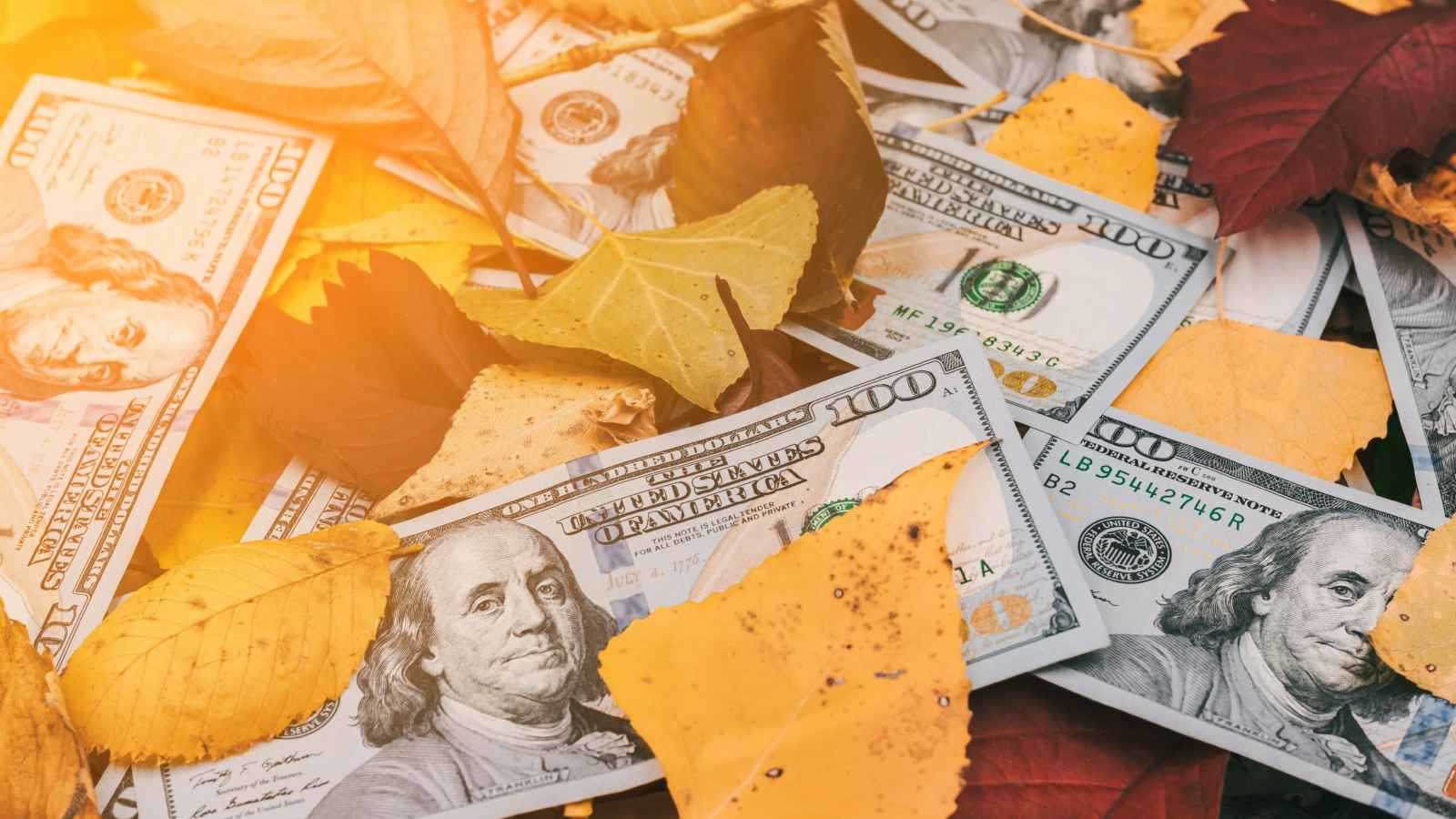 تفسير رؤيا تحول أوراق الشجر إلى نقود ودلالات الرزق