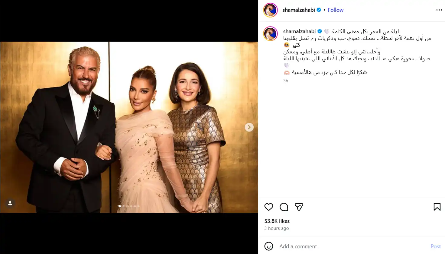 شام الذهبي توثق لحظات خاصة من حفل أصالة بسوريا ونجوم الفن يتفاعلون