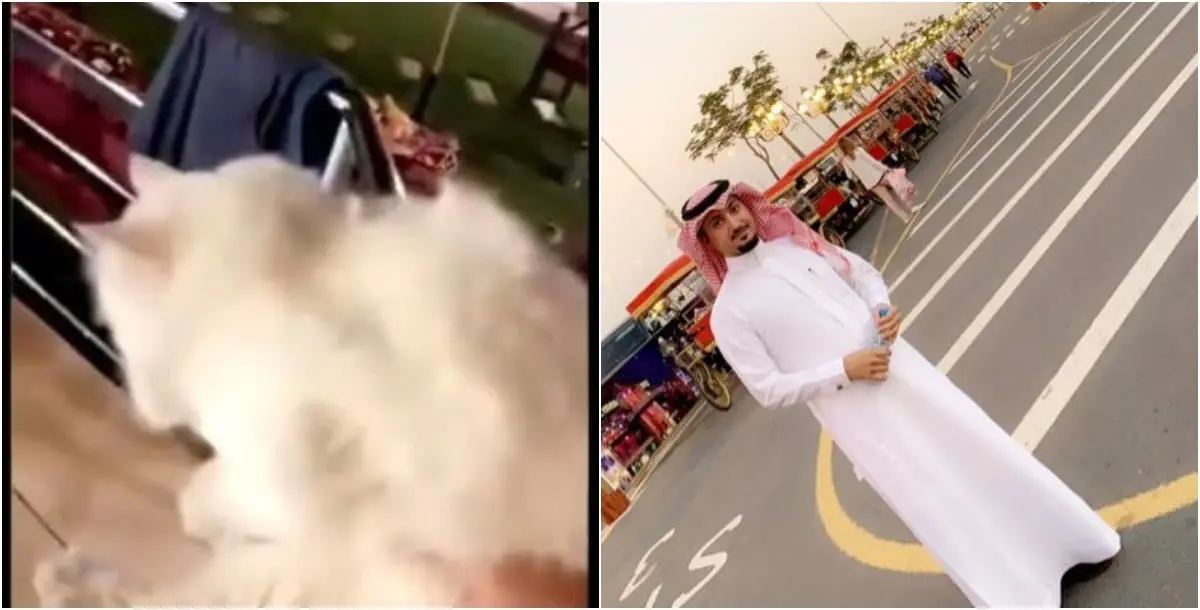 سعد العنزي "سمول كابتشينو" يرد على سعوديين اتهموه بتعذيب قطة 