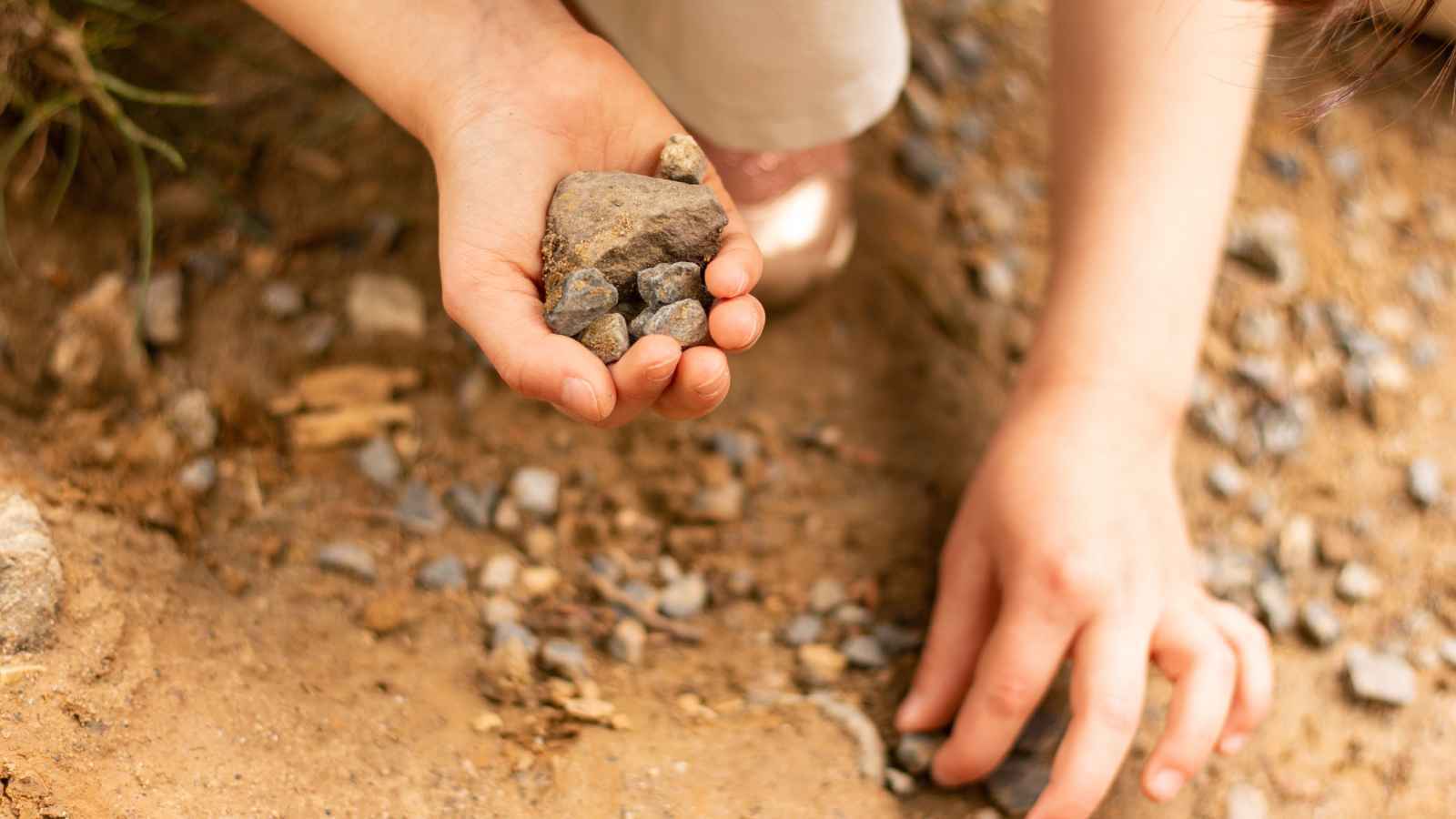 أبرز تفسيرات الحلم بجمع الأحجار 
