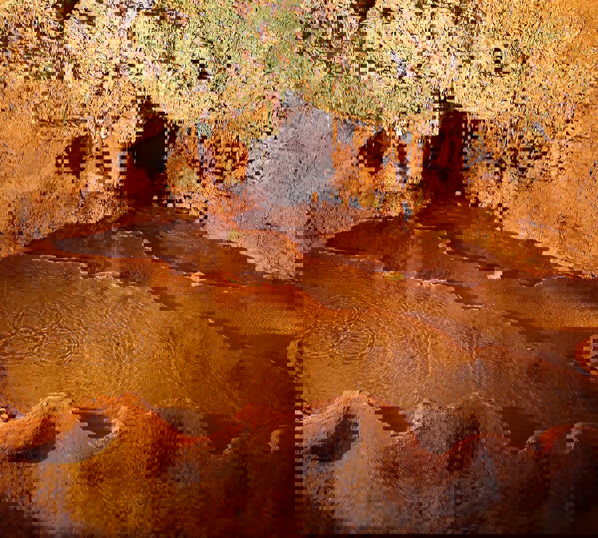 f3cf1794-5479-4778-9a4d-6895cbcdea9f