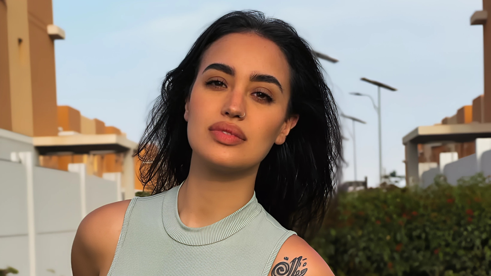 نينا عبد الملك