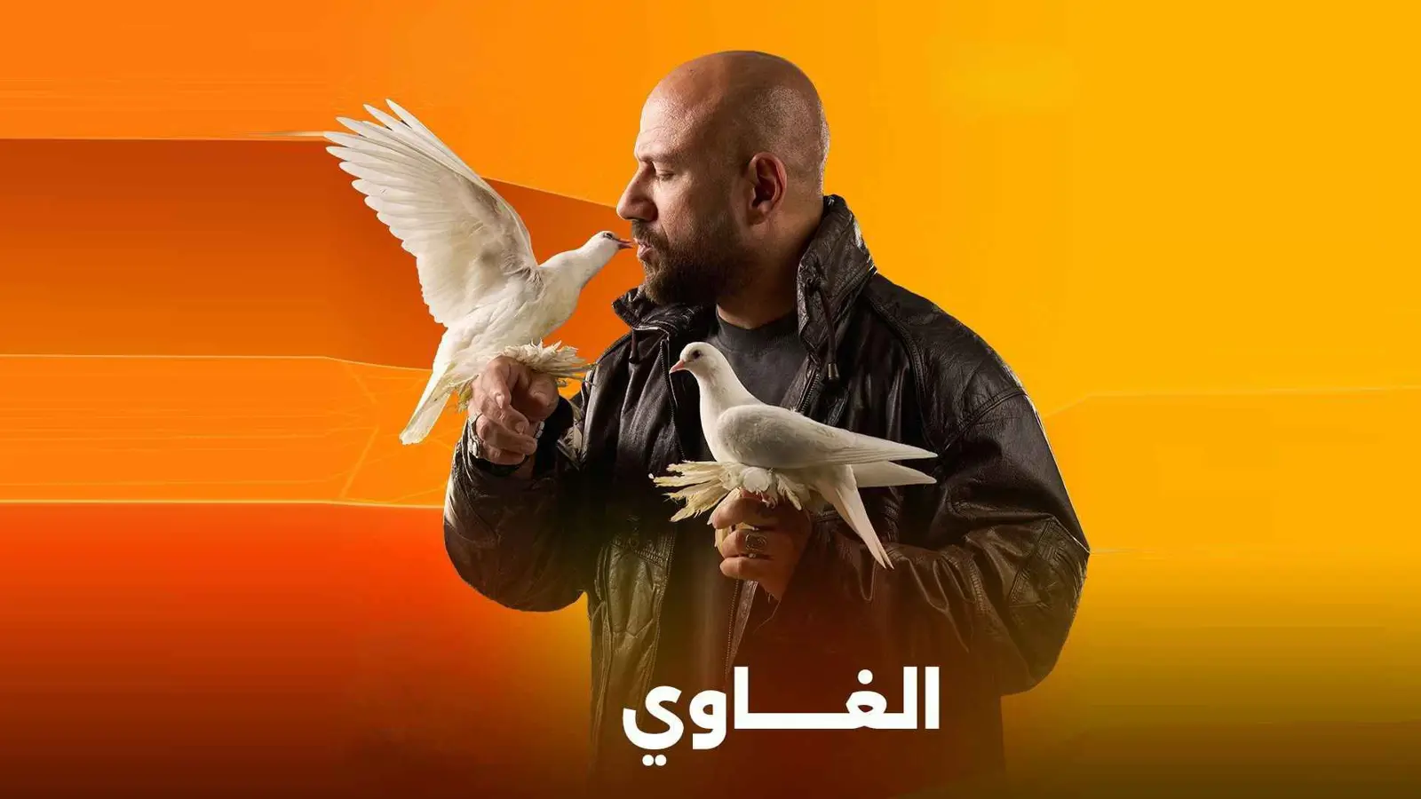 أحمد مكي