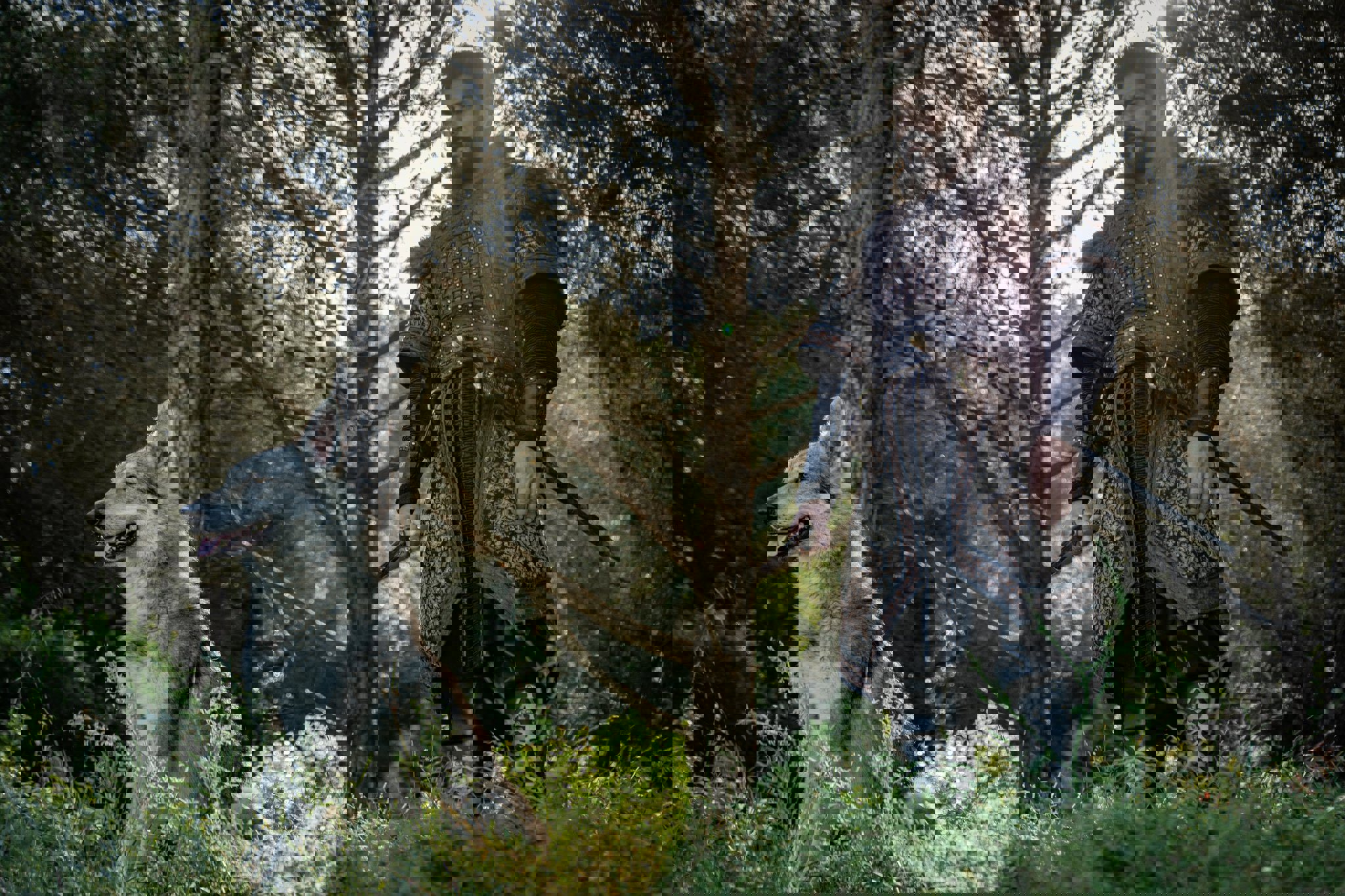 f9e2d64e-8300-4840-a739-95166f451980