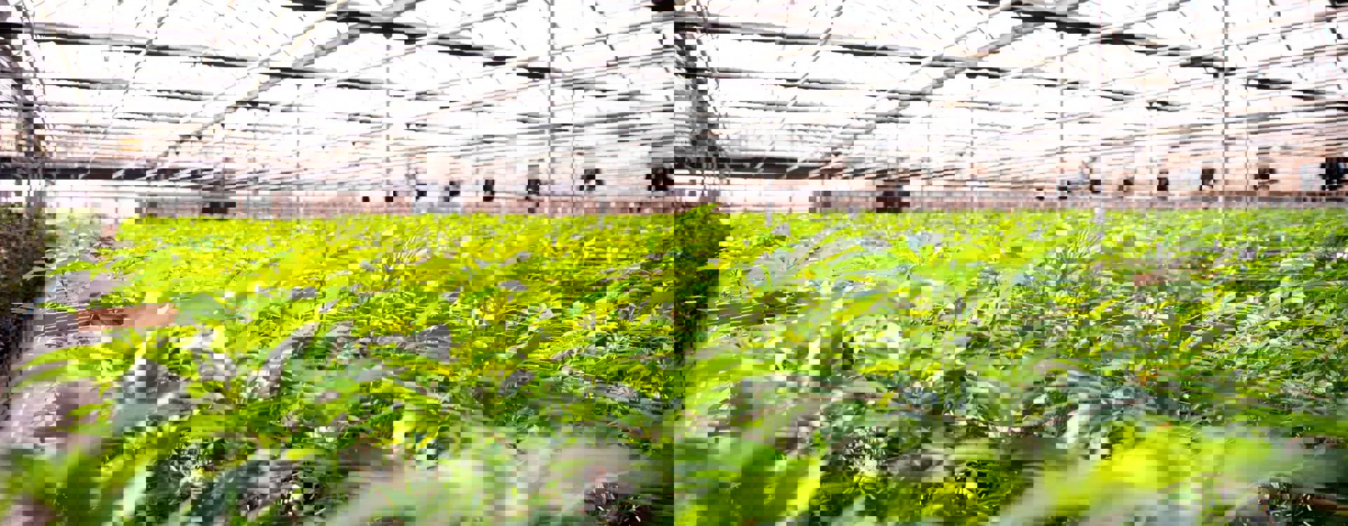 ff71ffbd-7af2-4403-bd61-00ca44dddf13