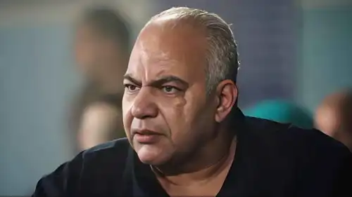 محكمة الأسرة تحقق في دخل وممتلكات بيومي فؤاد