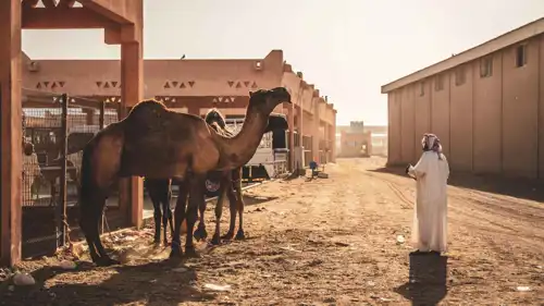 سوق الجمال بالعين وجهة سياحية تحكي عراقة التراث