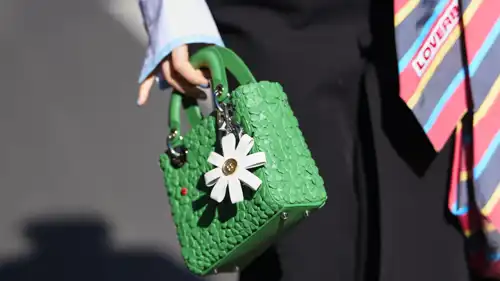حقيبة Lady-D من Dior
