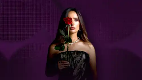 الفنانة زينة 